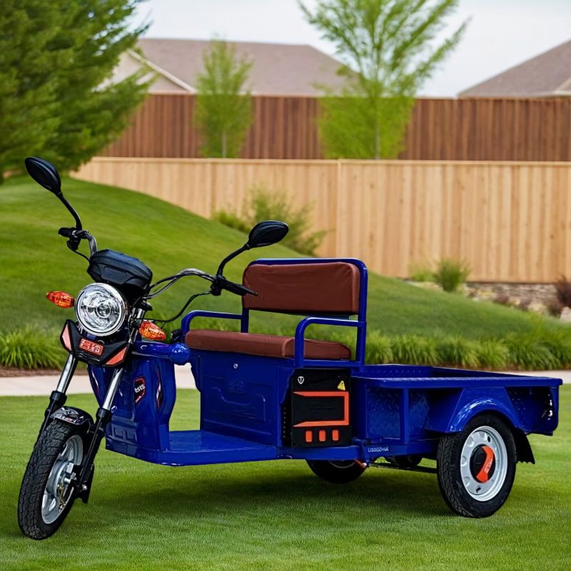 Электротрицикл Electrotrike V300 Электротрицикл Electrotrike V300
